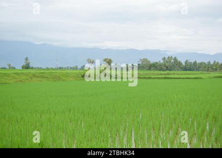 Aceh, Indonesien - Dezember 2023: Aktivitäten am Vormittag im Dorf Montasik Stockfoto