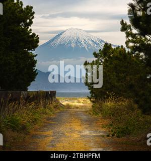 Die Halbinsel Miho, bekannt für ihren atemberaubenden Kiefernhain Miho-no-Matsubara und Panoramablick auf Mt. Fuji, ist ein verstecktes Juwel, das viel mehr als bietet Stockfoto