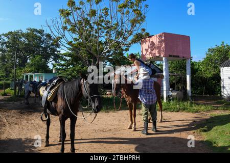 Vinales, Kuba - 10. August 2023: Frau auf Pferd bei Vinales auf Kuba Stockfoto