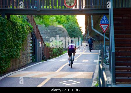 Ein Bild der Radwege unter dem Olympic Boulevard im Banpo Hangang Park in Seoul, Südkorea. Stockfoto