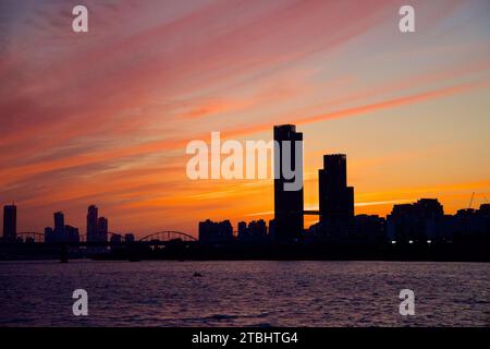 Ein Bild von Sevit im Banpo Hangang Park in Seoul, Südkorea. Stockfoto