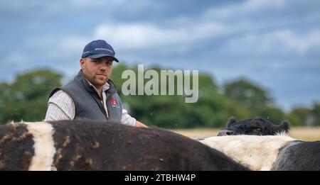 Rindfleischbauern, die seine Herde von Belted Galloway Vieh betrachten, eine harte einheimische Rasse aus dem Südwesten Schottlands. Stockfoto