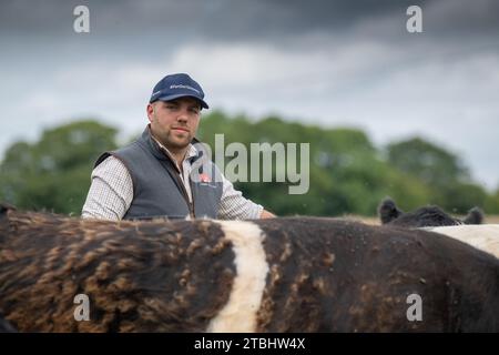 Rindfleischbauern, die seine Herde von Belted Galloway Vieh betrachten, eine harte einheimische Rasse aus dem Südwesten Schottlands. Stockfoto