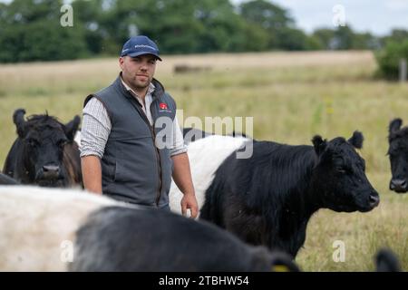 Rindfleischbauern, die seine Herde von Belted Galloway Vieh betrachten, eine harte einheimische Rasse aus dem Südwesten Schottlands. Stockfoto