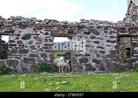 Shiaba, ein verlassenes Dorf auf der Isle of Mull in Schottland Stockfoto