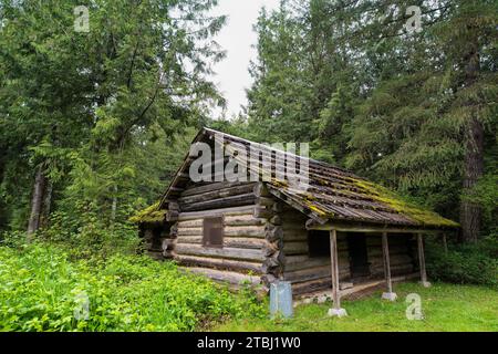 Alte Blockhütte im Wald. Stockfoto