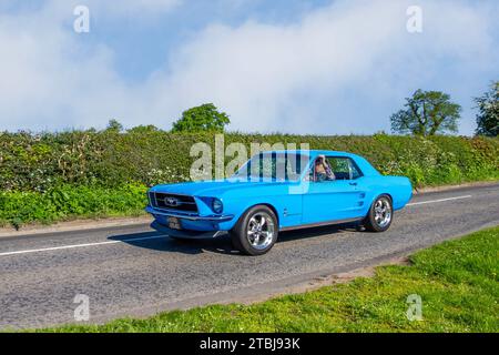 1966 60er Jahre amerikanischer Blue Mustang, Ponyauto 2-Dr Coupé; Vintage, restaurierte klassische Motoren, Automobilsammler, Motorenfreunde, historische Veteranenautos, die in Cheshire, Großbritannien reisen Stockfoto