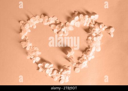 Herzsymbol aus Peach Fuzz Hortensie Blütenblättern auf einem Hintergrund. Farbe des Jahres 2024 Stockfoto