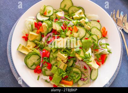 Frischer grüner Salat mit Gurke, Avocado, Zwiebeln und Salat auf weißem Teller und blauem Tischtuch Stockfoto