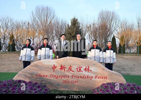 (231207) -- TIANJIN, 7. Dezember 2023 (Xinhua) -- Ding Xuexiang, Mitglied des Ständigen Ausschusses des Politischen Büros des Zentralkomitees der Kommunistischen Partei Chinas und Vize-Premierminister des Staatsrats, posiert für ein Gruppenfoto mit dem stellvertretenden Premierminister und Finanzminister der Republik Singapur Lawrence Wong vor dem China-Singapore Friendship Forest in Tianjin, Nordchina, 7. Dezember 2023. Ding und Wong führten gemeinsam den Vorsitz auf der 19. Tagung des Gemeinsamen Rates China-Singapur für bilaterale Zusammenarbeit, dem 24. Treffen des Gemeinsamen Lenkungsrates des Industrieparks China-Singapur Suzhou Stockfoto