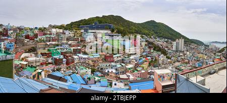 Gamcheon Culture Village in Busan, viele farbenfrohe Häuser auf einem Hügel über einer Bucht, Busan, Südkorea. Stockfoto