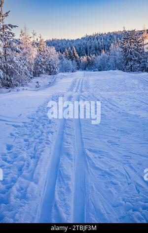 Ein Skizentrum außerhalb der Stadt Ludvika in Schweden, wo Sie Langlaufen gehen können und es gibt auch Loipen für Hundeschlittenfahrten Stockfoto