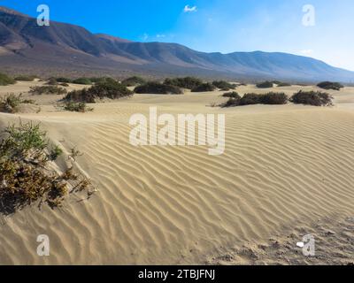 Panoramablick auf den Strand von Famara. Im Hintergrund die Berge des Risco de Famara. Kanarische Inseln, Spanien, Europa Stockfoto