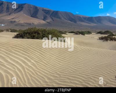 Panoramablick auf den Strand von Famara. Im Hintergrund die Berge des Risco de Famara. Kanarische Inseln, Spanien, Europa Stockfoto