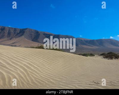 Panoramablick auf den Strand von Famara. Im Hintergrund die Berge des Risco de Famara. Kanarische Inseln, Spanien, Europa Stockfoto