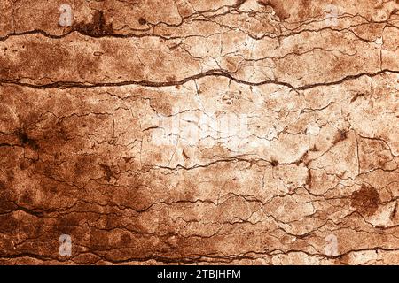 Schöne Grunge Stone Textur. Altes Steinmakro, kann auch als Hintergrund verwendet werden. Die Farbe des Jahres 2024 wird demonstriert. Stockfoto