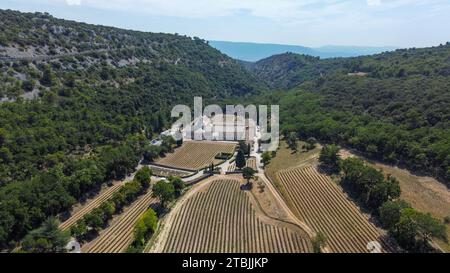 Zisterzienserabtei von Senanque in der Provence, ein Ort der Ruhe und des Gebets zwischen Bergen, Bäumen und Lavendelfeldern. Antike Abtei Stockfoto