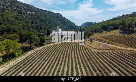 Zisterzienserabtei von Senanque in der Provence, ein Ort der Ruhe und des Gebets zwischen Bergen, Bäumen und Lavendelfeldern. Antike Abtei Stockfoto