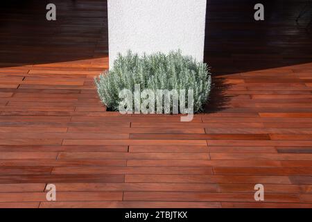 Terrassensäule auf dem Hartholzboden mit Lavendelgestrüpp, zeitgenössische Architekturdetails Stockfoto