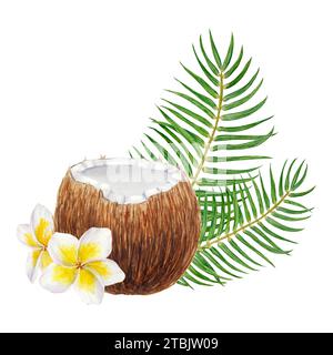 Weiße Frangipani, grüne Palmblätter und eine halbe Kokosnuss-Illustration. Handgezeichnetes Aquarell mit exotischen Früchten. Tropische Malerei für Stockfoto