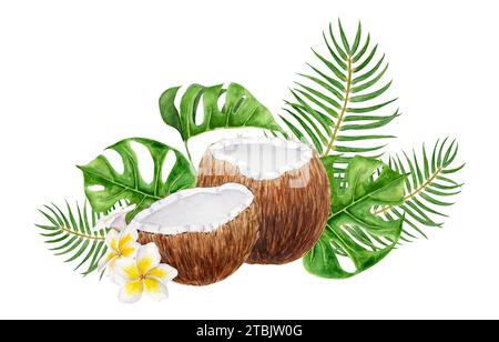 Weiße Frangipani, grüne Monstera, Palmblätter, eine halbe Kokosnuss-Illustration. Aquarell handgezeichnete exotische Früchte. Tropische Malerei für die Hochzeit Stockfoto