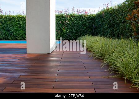 Hartholzterrasse mit immergrünem Zaun und Pool, exotische Holzterrasse Idee Stockfoto