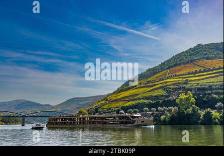 Am Fluss Douro bei Pinhao, Douro-Tal, Portugal Stockfoto