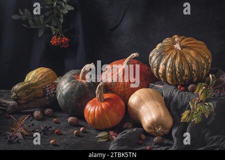 Stillleben im Herbst mit verschiedenen Kürbissen - cucurbita Früchte in verschiedenen Farben und Größen mit Nüssen und Beeren. Konzept des Thanksgiving-Tages mit sp Stockfoto