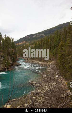 Blauer und grüner Fraser River in Kanada Stockfoto