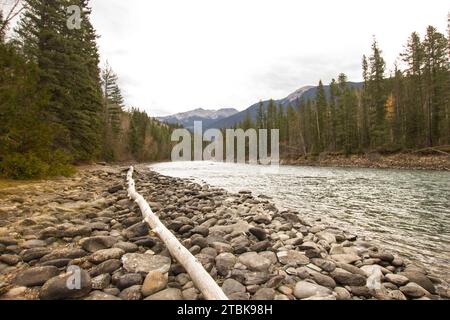 Fraser River in British Columbia in Kanada Stockfoto