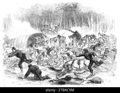 The Civil war in America: The Stampede from Bull Run - nach einem Entwurf unseres Künstlers, 1861. Unser Künstler schreibt: "Um halb fünf waren die Bundestruppen auf dem Rückzug, an verschiedenen Stellen von der schwarzen Pferdekavallerie von Virginia verfolgt. Rückzug ist ein schwacher Begriff, wenn man von dieser schändlichen Route spricht, für die es keine Entschuldigung gab. Die vom Terror geplagten Soldaten warfen ihre Arme und Ausrüstung weg, sie hüteten wie eine panisch geplagte Schafherde, ohne Ordnung auf ihrem Flug. Diejenigen, die das Glück hatten, Plätze in den Gepäckwagen zu bekommen, schleudern sich zurück Stockfoto