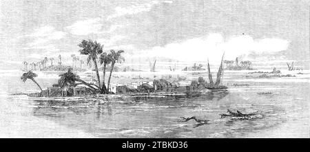 Überschwemmung des Nils: Blick auf Dörfer und Lager am Ufer des Nils, 1861. Ägypten verdankt seine Existenz als produktive und bewohnbare Region dem Nil, dessen periodische Überströmungen mehr als nur dem Zweck des Regens entsprechen... der Aufstieg des Nils beginnt im Juni... und überflutet die Tiefländer entlang seines Verlaufs. Das Delta sieht dann wie ein riesiges Sumpfgebiet aus, durchsetzt von zahlreichen Inseln, mit Dörfern, Städten und Baumplantagen direkt über dem Wasser. Wenn der Nil ein paar Meter über seiner üblichen Höhe aufsteigt, fängt die Überflutung die Schlammhütten der Araber ab, ertränkt Stockfoto
