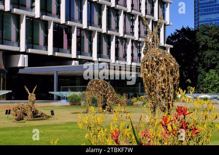 Perth: Weihnachtskängurus und Kängurupfenblumen im Council House, St Georges Terrace, Perth, Western Australia Stockfoto