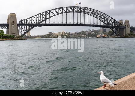 Sydney Harbor Bridge vom Hafen von Sydney Stockfoto