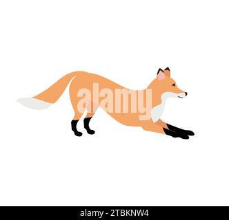 Vektor Hand gezeichneter Flachfuchs Stock Vektor