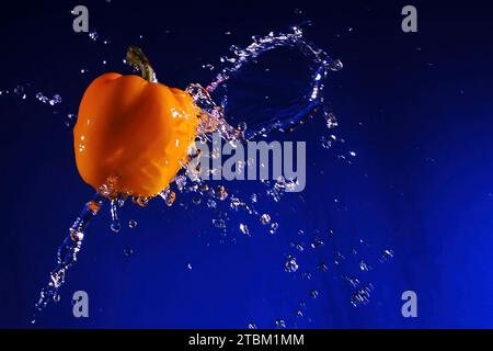 Paprika-Früchte auf blauem Hintergrund, mit Wasser bespritzt, erzeugen einen Spritzer Stockfoto