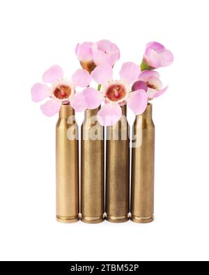 Schöne Blumen in Kugeln isoliert auf weiß Stockfoto