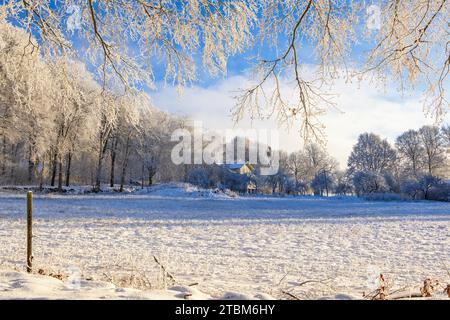 Haus am Rande des Waldes an einem kalten Wintertag mit Schnee und Raureif, Schweden Stockfoto