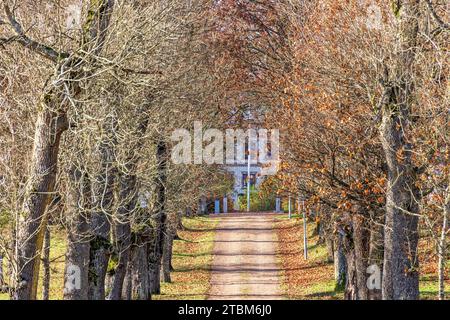 Schotterstraße in einer Allee von Bäumen zu einem weißen Haus auf dem Land, Schweden Stockfoto