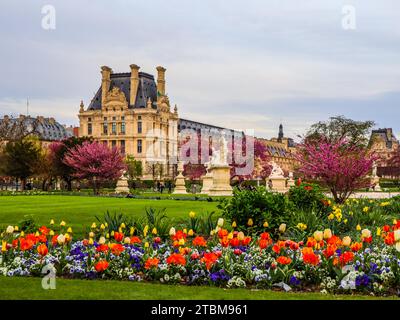 Wunderbare Feder Tuileries Garten und Blick auf den Louvre in Paris, Frankreich. April 2019 Stockfoto