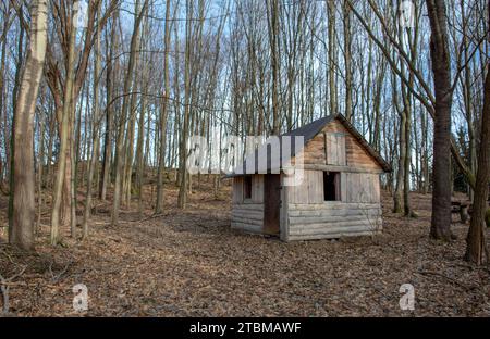 Ein altes Holzhaus zwischen Bäumen im Wald. Alte Hütte oder Hütte in der Natur Stockfoto