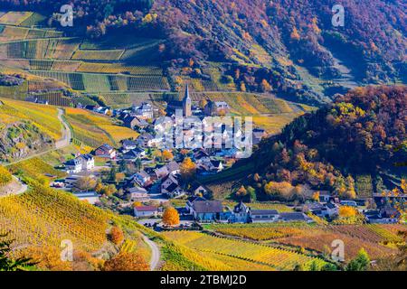 Weinberge im Herbst, Mayschoss mit Pfarrkirche, Rotweinbaugebiet Ahrtal, Rotwein des Pinot Noir und Portugieser Traube werden hier angebaut Stockfoto