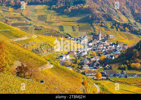 Weinberge im Herbst, Mayschoss mit Pfarrkirche, Rotweinbaugebiet Ahrtal, Rotwein des Pinot Noir und Portugieser Traube werden hier angebaut Stockfoto