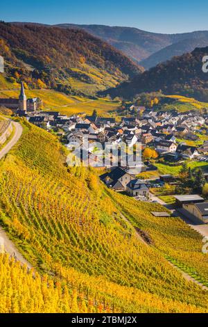 Weinberge im Herbst, Mayschoss mit Pfarrkirche, Rotweinbaugebiet Ahrtal, Rotwein des Pinot Noir und Portugieser Traube werden hier angebaut Stockfoto