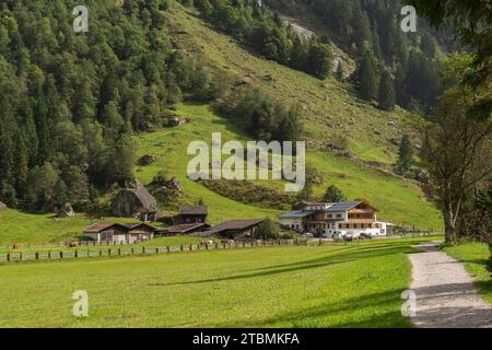 Wanderweg im Stilluptal, Gasthof Stilluper Haus, Stillupgrund, Mayrhofen, Naturpark Zillertaler Alpen Hochgebirge, Almwiesen, Tirol Stockfoto