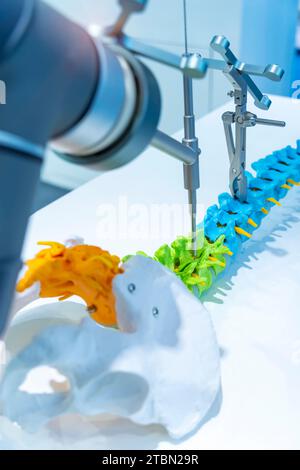 Robotertechnische Ausstattung des Maschinenarmchirurgen am Wirbelsäulenmodell Stockfoto