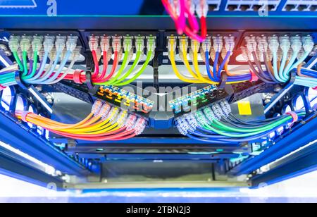 Netzwerkpanel, Switch und buntes Kabel im Rechenzentrum Stockfoto