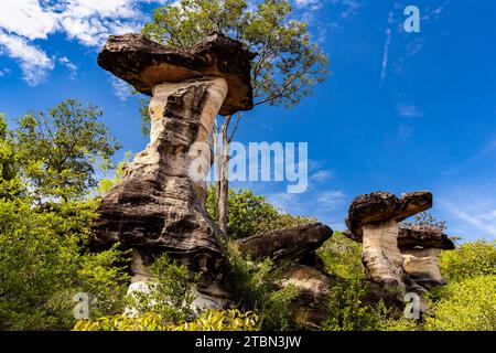 PHA Taem Nationalpark, erodierte Pilzfelsen „Sao Chaliang“, Felsmalerei, Ubon Ratchathani, Isan, Thailand, Südostasien, Asien Stockfoto