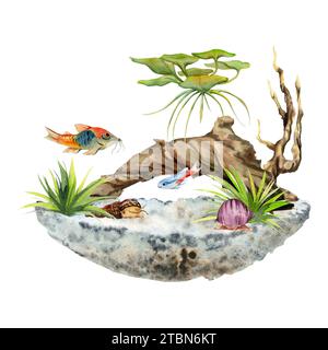 Handgezeichnete Aquarelle Aquarienfische, Algen, Sealife mit Moorholz. Marine Exotic Unterwasser Illustration. Isoliert auf weißem Hintergrund. Design für Stockfoto