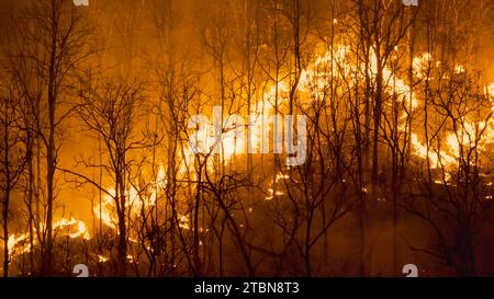 Klimawandel, Waldbrände setzen Kohlendioxidemissionen (CO2) und andere Treibhausgase (THG) frei, die zum Klimawandel und zur globalen Erwärmung beitragen Stockfoto